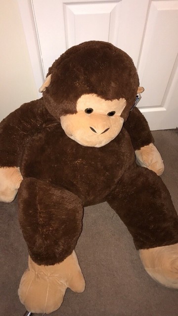 massive monkey teddy